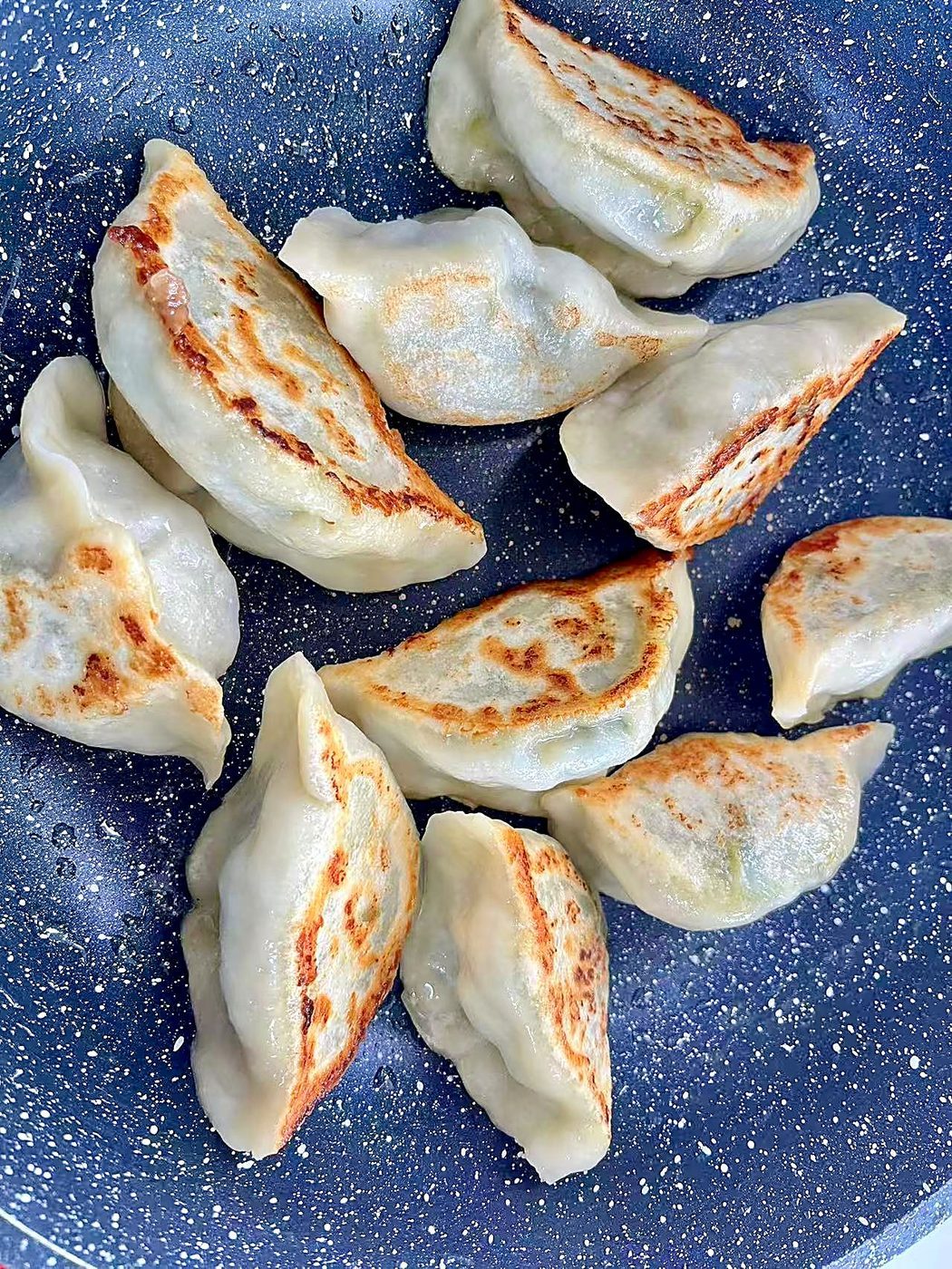 Pan-Fried Pork & Cabbage Dumplings